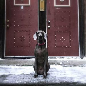 Meet your Posher, Leslie